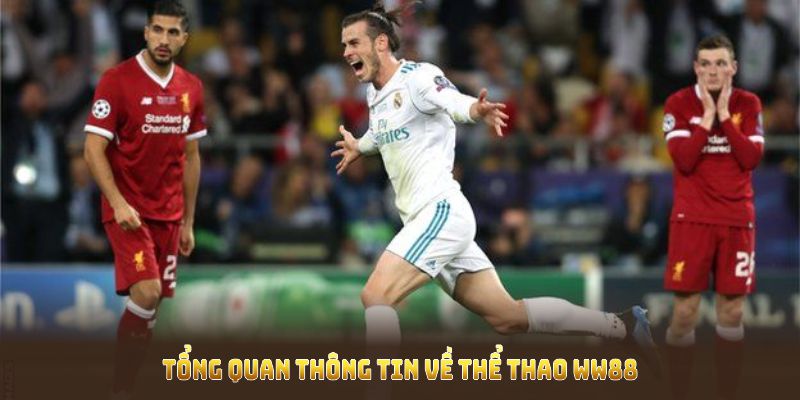 Tổng quan thông tin về thể thao WW88 mà người chơi cần biết